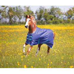 Couverture d'extérieur Original 100 Shires Tempest Couverture d'extérieur Original 100 Shires Tempest