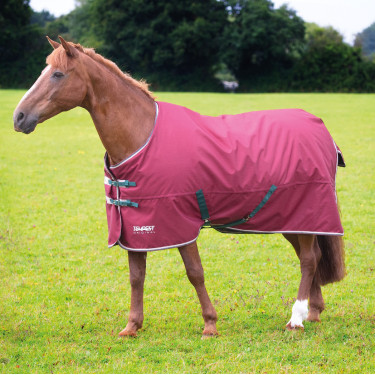 Couverture d'extérieur Original 200 Shires Tempest