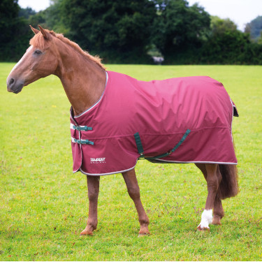 Couverture d'extérieur Original 200 Shires Tempest