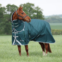 Buitendeken Original 300 + halsdeel Shires Highlander Groen
