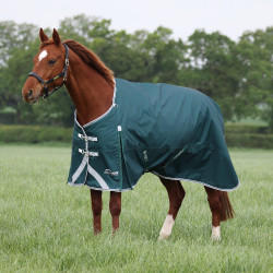Couverture d'extérieur Original 300 Shires Highlander