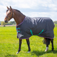 Buitendeken Original 300 Shires Tempest Zwart Buitendeken Original 300 Shires Tempest Zwart