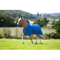 Buitendeken Original Lite Shires Tempest Smaragdgroen Blauw Buitendeken Original Lite Shires Tempest Smaragdgroen Blauw