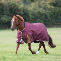 Buitendeken Plus 100 Shires Highlander Bordeaux Buitendeken Plus 100 Shires Highlander Bordeaux
