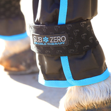 Guêtres de glace SubZero Shires Arma Guêtres de glace SubZero Shires Arma