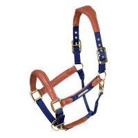 Licol en cuir matelassé Shires Velociti Lusso Marine Bleu marine