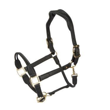 Licol en cuir Soria Control Shires Velociti Lusso