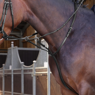 Martingale à anneaux Elite Shires Velociti Lusso Martingale à anneaux Elite Shires Velociti Lusso