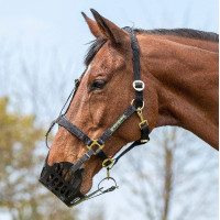 Shires Greenguard graasmasker Zwart