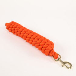 Longe extra-longue Shires Arma