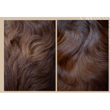 Démêlant lustrant Nellumbo chiens et chats Démêlant lustrant Nellumbo chiens et chats