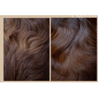 Ontklitter en glansspray Nellumbo voor honden en katten