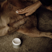 Balsem voor de gevoelige huid Nellumbo honden en katten