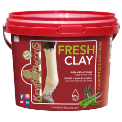 Argile refroidissante Kevin Bacon's Fresh Clay