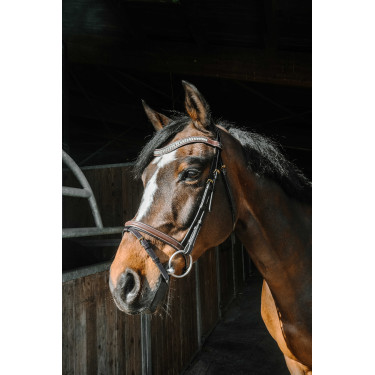 Bridon Norton Pro EK-Paris Havane Marron Bridon Norton Pro EK-Paris Havane Marron