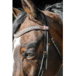 Hoofdstel Norton Pro EK-Paris Havana Bruin Hoofdstel Norton Pro EK-Paris Havana Bruin