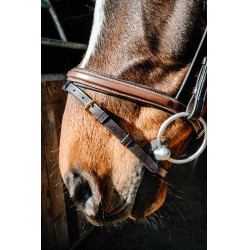 Bridon Norton Pro EK-Paris Havane Marron Bridon Norton Pro EK-Paris Havane Marron