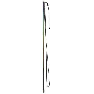 Uitschuifbare longeerzweep Whip & Go Hologram Veelkleurig Multicolor