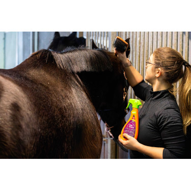 new new