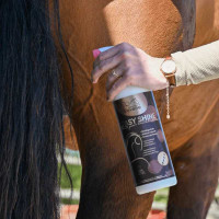 Easy Shine Ravene Démêlant Lustrant Édition Limitée 20 ans