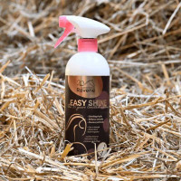 Easy Shine Ravene Démêlant Lustrant Édition Limitée 20 ans