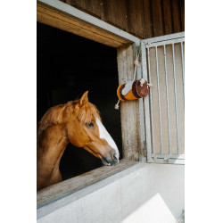 Jouet pour chevaux Hippotonic Abeille Jaune