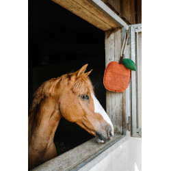 Hippotonic appeltjespeelgoed voor paarden Rood