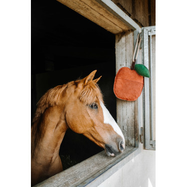 Jouet pour chevaux Hippotonic Pomme Rouge
