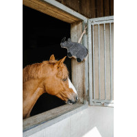 Jouet pour chevaux Hippotonic Rhinocéros Gris