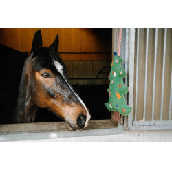 Jouet pour chevaux Hippotonic Sapin de Noël Vert