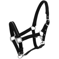 Licol Norton Crystal Noir