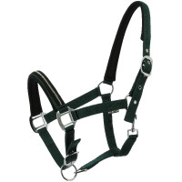 Licol Norton Crystal Vert foncé