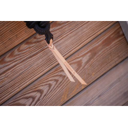 Longe de Présentation 250cm Paddock Sport Noir