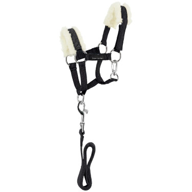 Mini halster en longe Pony Academy Zwart Mini halster en longe Pony Academy Zwart