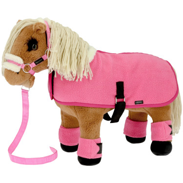 Mini-pony Fleur EK-Pony Academy Geel