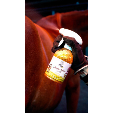Spray Effol Kids Star-Shine Doré