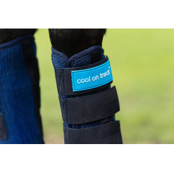 Stable boots cool On Track 2.0 Back On Track