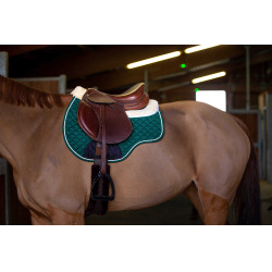 Tapis amortisseur Riding World Vert Tapis amortisseur Riding World Vert