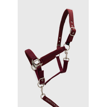 Halter en leadrope Harcour Cinsy