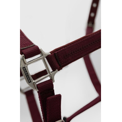 Halter en leadrope Harcour Cinsy