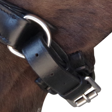 Bridon Pull Back Euro Chetak Zwart