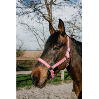 Halster Norton Dream Roze
