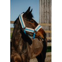 Licol Norton Comfy Bleu Licol Norton Comfy Bleu
