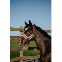 Licol Norton Comfy Bordeaux