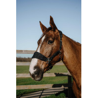 Licol Equithème Breeze