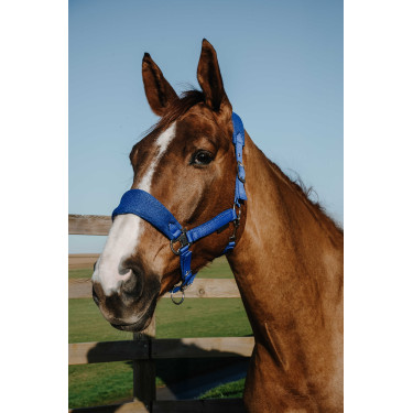 Licol Equithème Breeze Licol Equithème Breeze