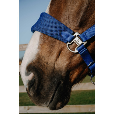 Licol Equithème Breeze Licol Equithème Breeze
