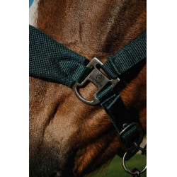 Licol Equithème Breeze Licol Equithème Breeze