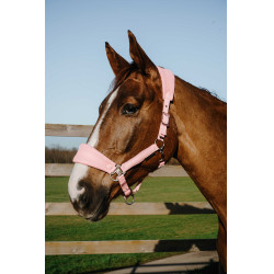 Licol Equithème Breeze Licol Equithème Breeze