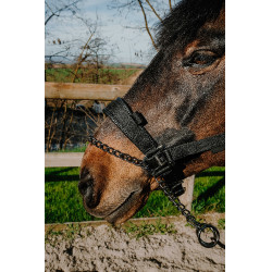 Halster Equithème Control Zwart Halster Equithème Control Zwart
